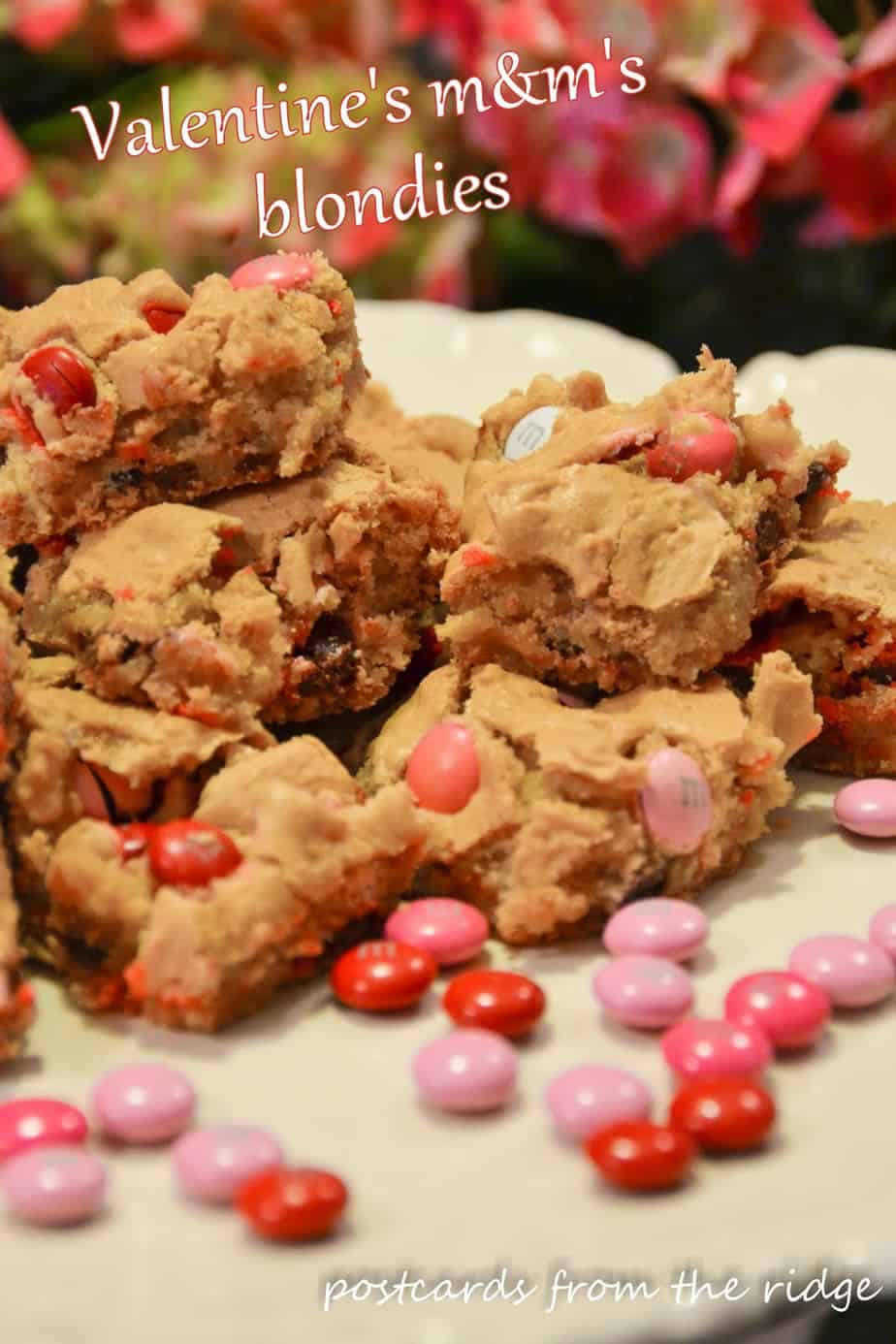 Adventures in Baking ~ Valentine’s m & m’s blondies