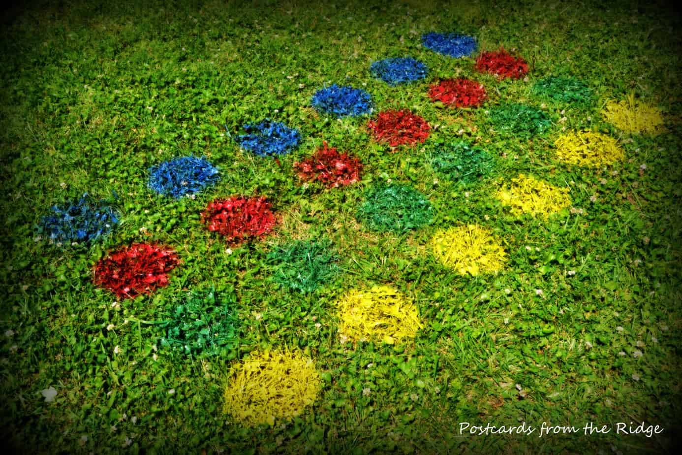 Lawn Twister Fun