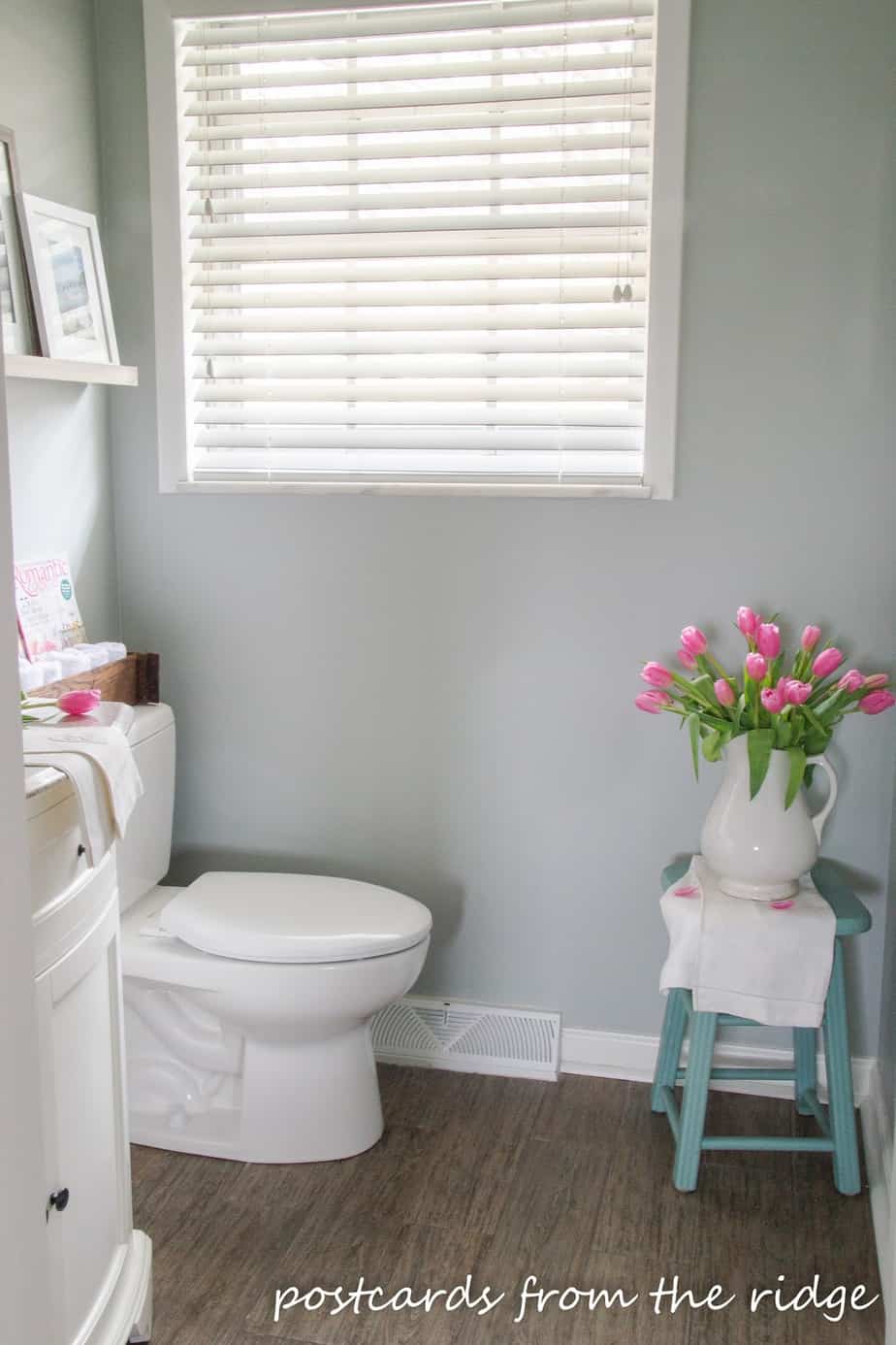 half bathroom painted with benjamin moore tranquility eggshell finish