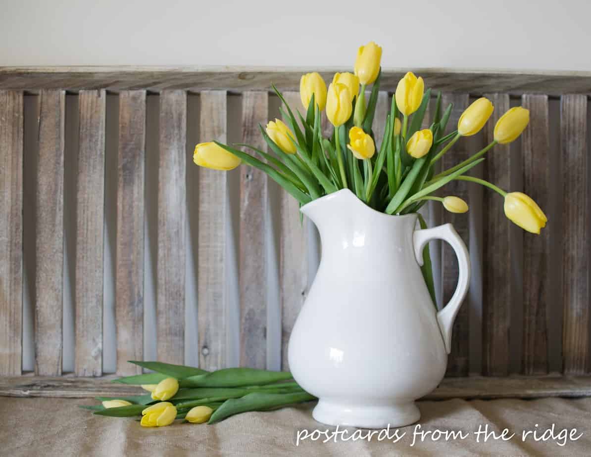 Postcards from the Ridge. Yellow tulips in a white ironstone pitcher. 