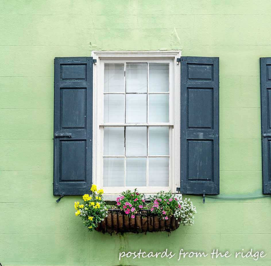 Windows of Charleston