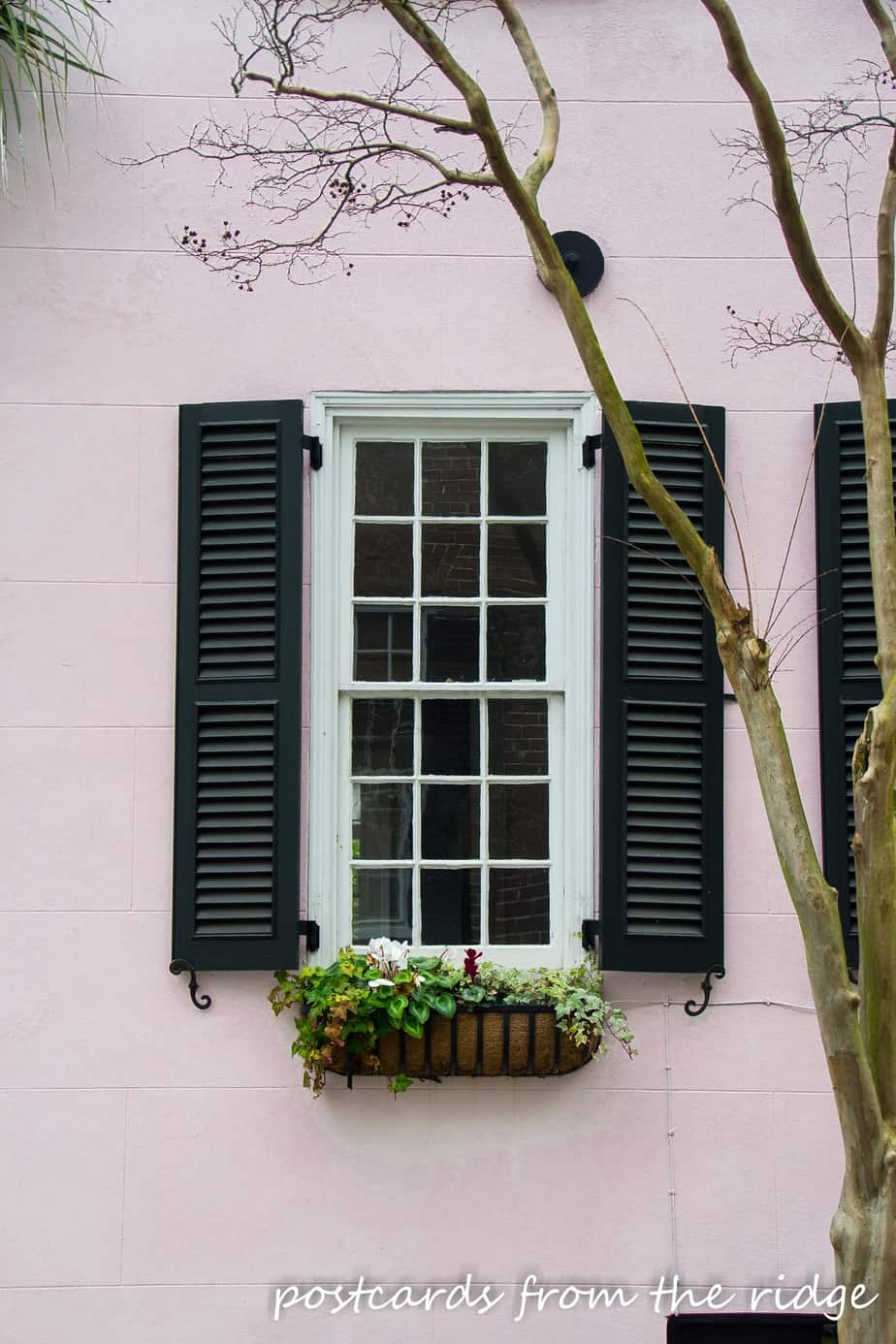 charleston home with black shutters and pink paint
