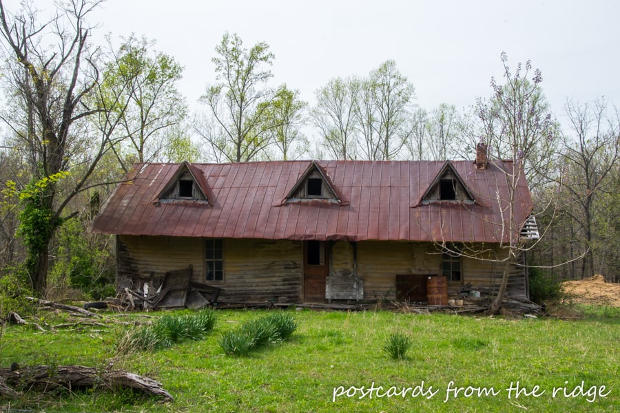 Country Roads ~ Abandoned Barns and Wildflowers in Rural Tennessee