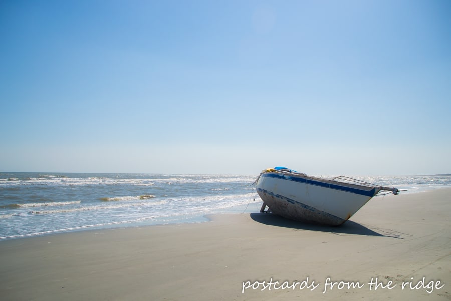 12 Things to see and do on Kiawah Island - Postcards from the Ridge