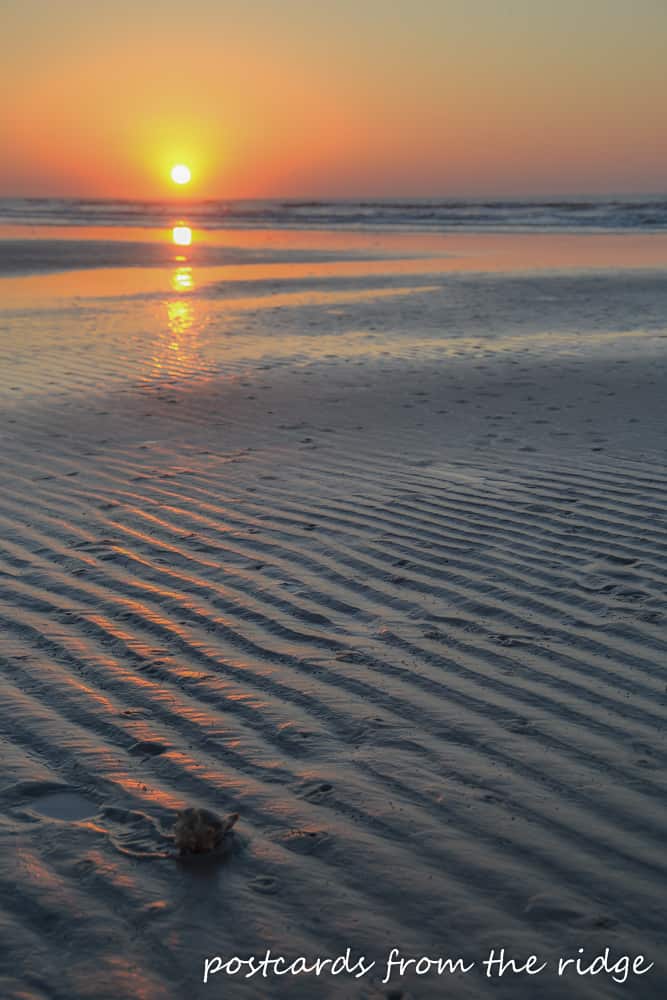 sunrise with seashell in the foreground at kiawah island