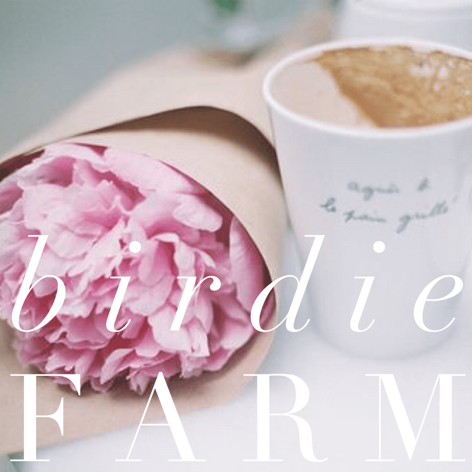 Birdie Farm – Beautiful Home Tour