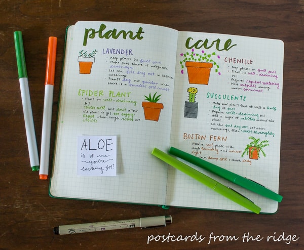 Lots of creative spreads and ideas for bullet journaling. Tips for newbies too!