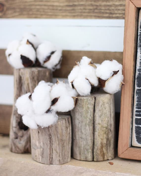 Love these handmade driftwood vases with cotton stems.