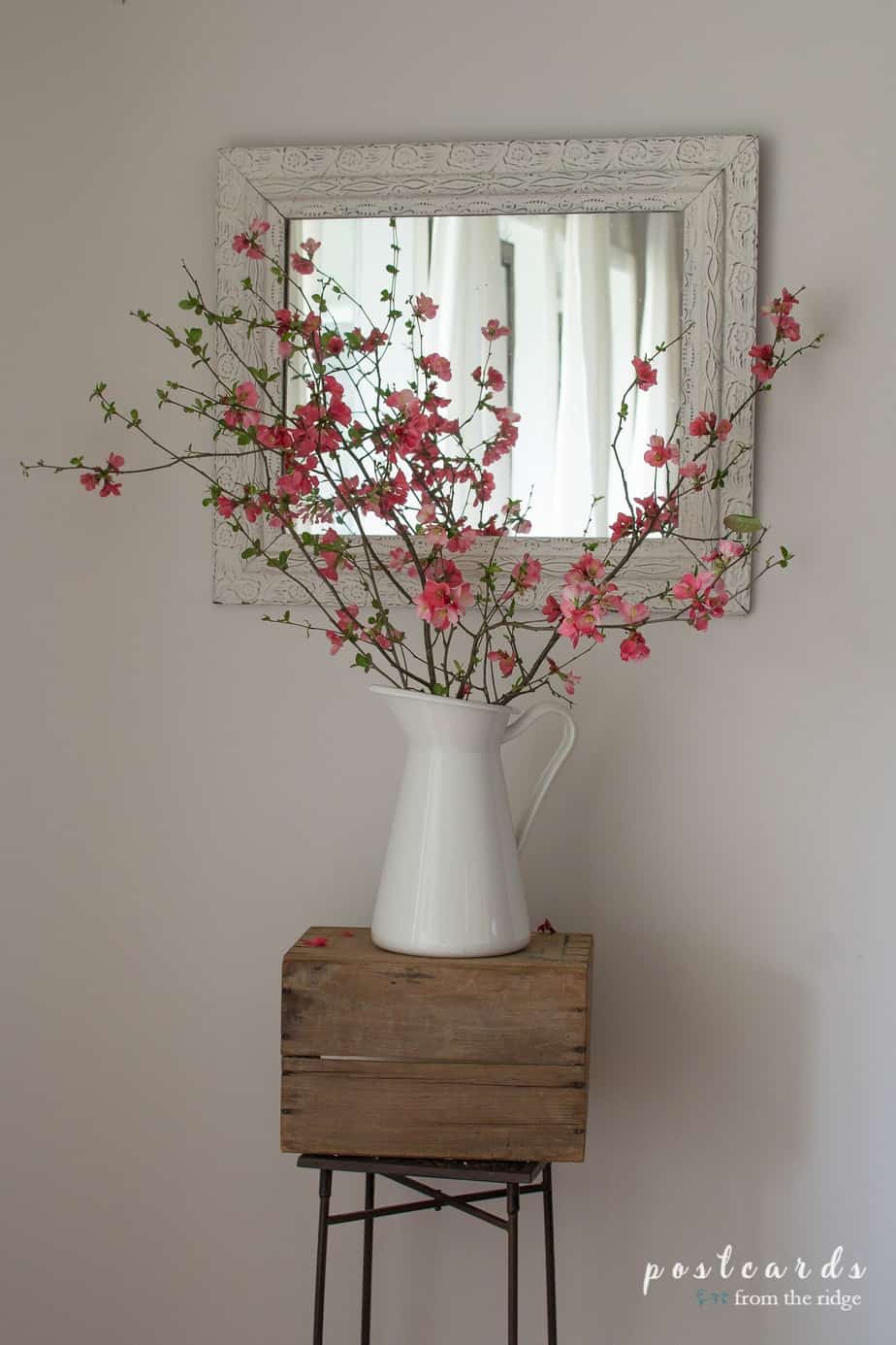 coral quince branches in a white pitcher