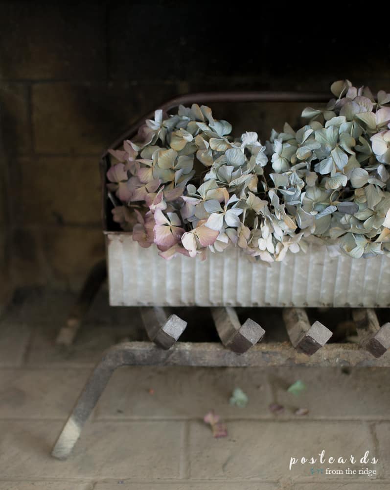 Love these dried hydrangeas in the metal caddy as fall fireplace decor.