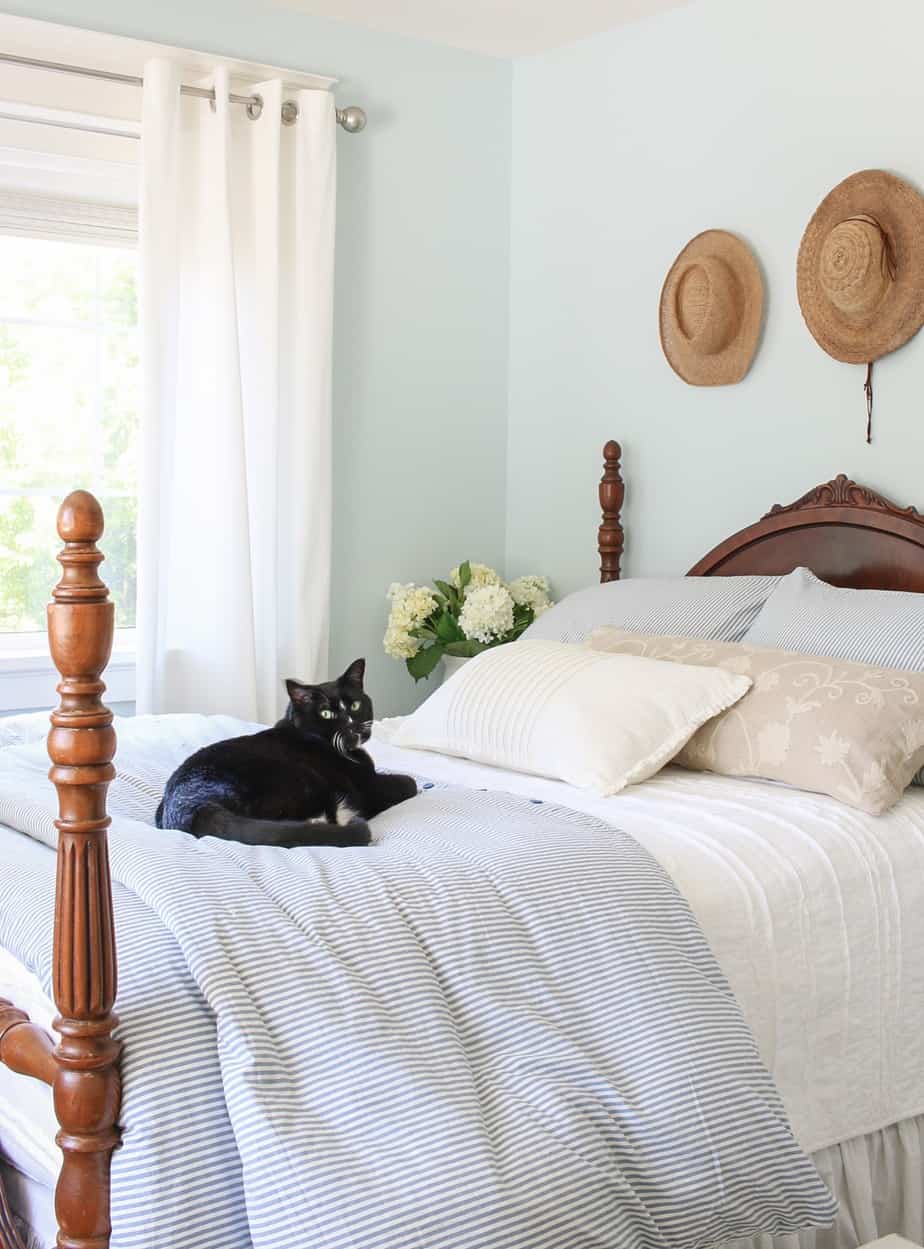 black cat on a bed with blue and white striped duvet cover