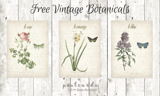 3 free printable botanicals