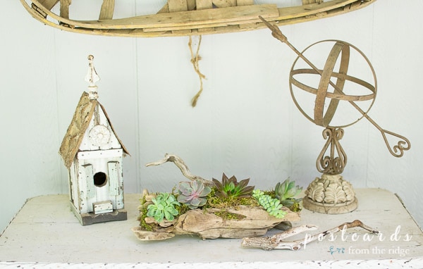 rustic birdhouse and garden sphere with driftwood succulent planter
