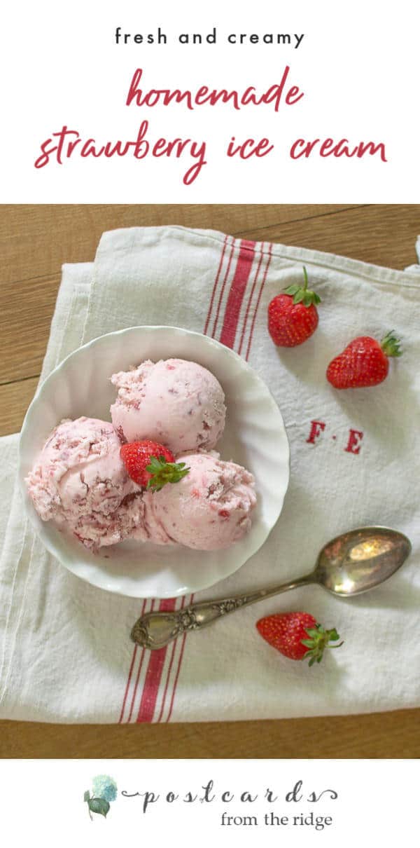 homemade strawberry ice cream in white bowl