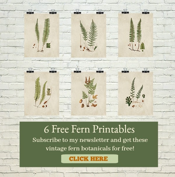 free vintage fern printable art