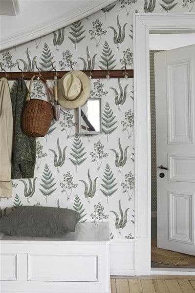 fern wallpaper