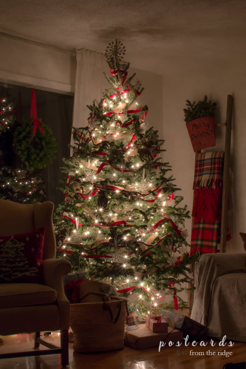 Christmas tree with red ribbon at night