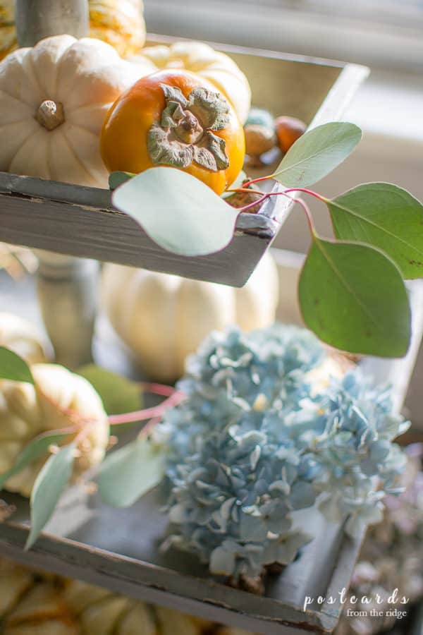 tiered tray with pumpkins, persimmons, and dried hydrangeas