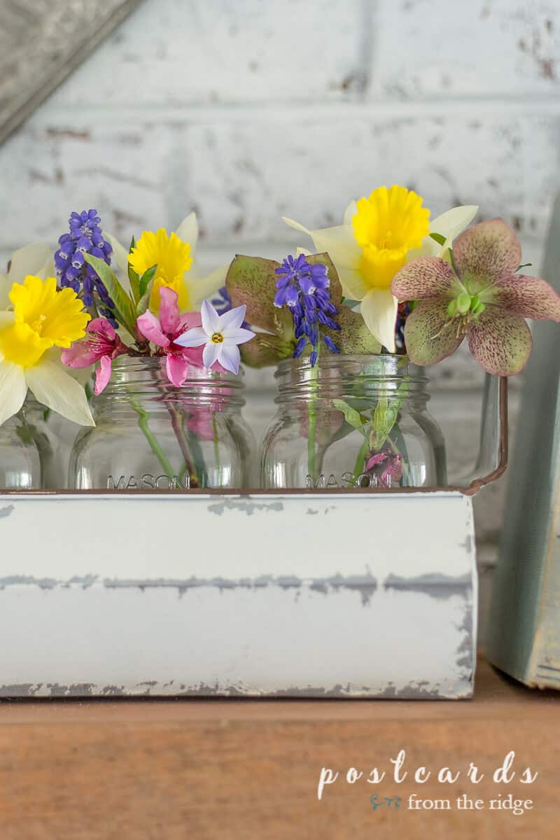 spring flowers in mason jars in chicken feeder planter