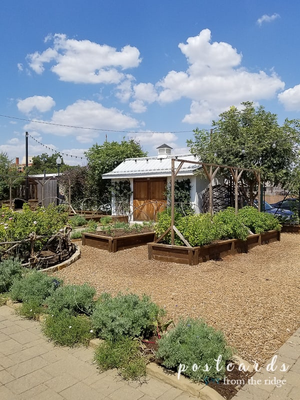 small white garden shed and herb gardens at magnolia market
