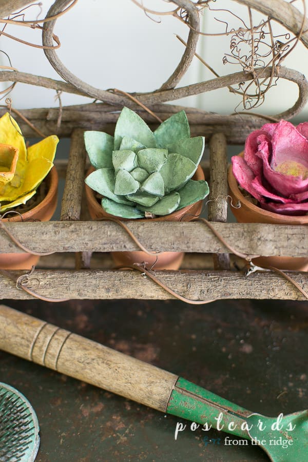 colorful flowers and succulent made from paper egg cartons