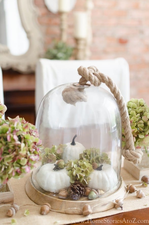 glass cloche with pumpkins and fall decor