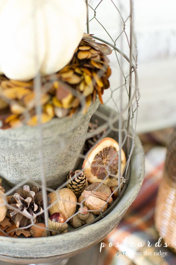 nuts, acorns, and pine cones under a chicken wire cloche