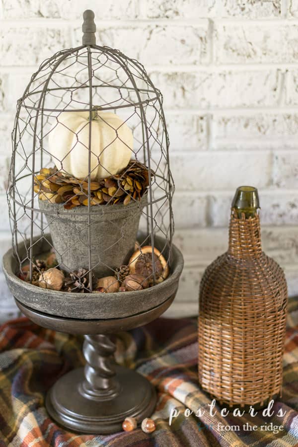 pedestal with chicken wire cloche and fall decor