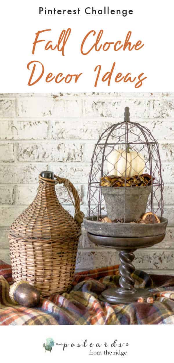 fall decor with chicken wire cloche