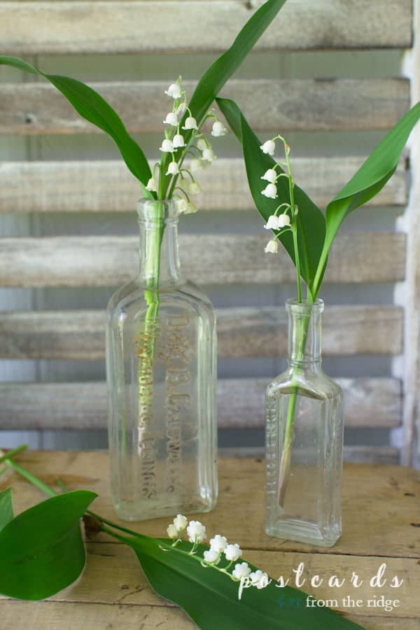 old glass bottles with lily of the valley