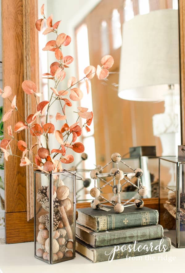 fall decor using nuts, pine cones, vintage books, and faux sienna eucalyptus