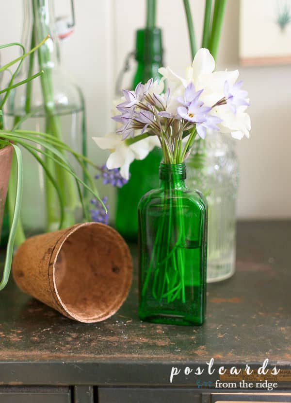 green bottle vase with flowers