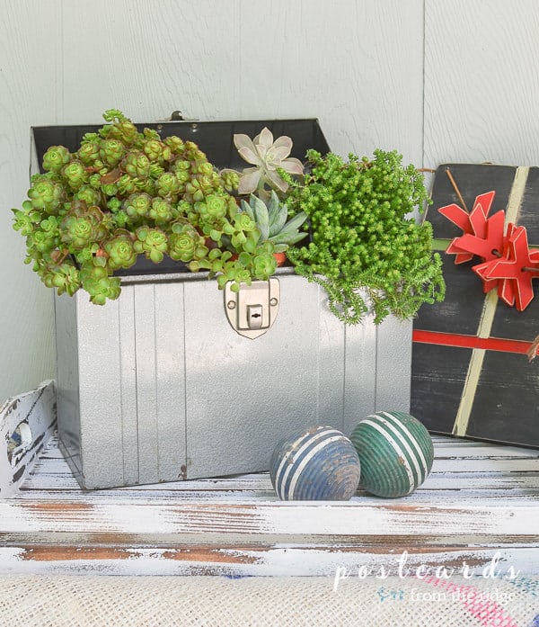 vintage metal toolbox repurposed as a planter for succulents