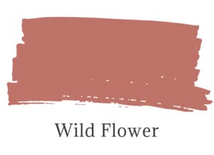 benjamin moore wild flower