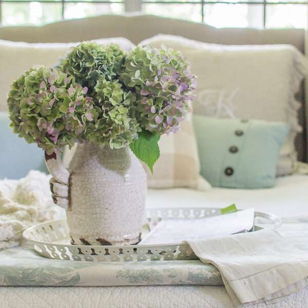 hydrangeas in pitcher