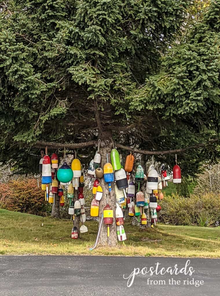 colorful lobster buoys form Maine