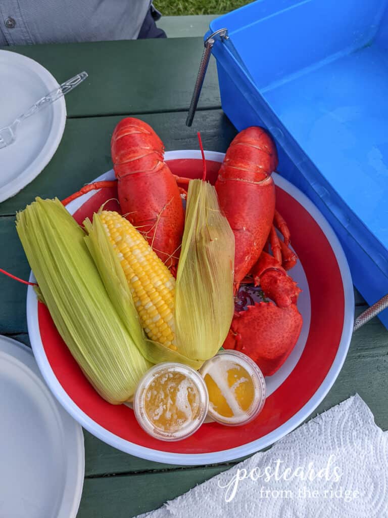 Maine lobster with corn on the cob