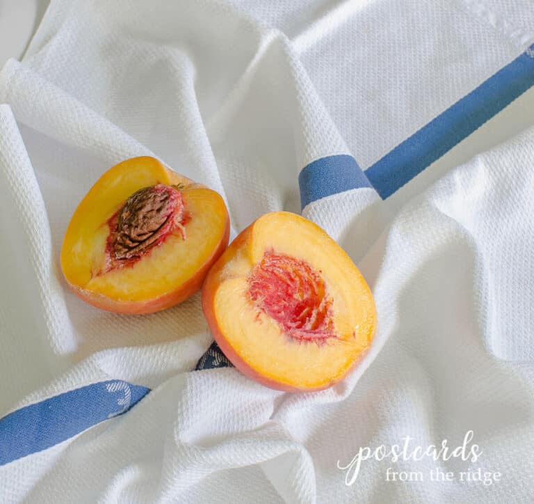 Fresh Peach Ice Cream Recipe With Cuisinart Ice Cream Maker Postcards