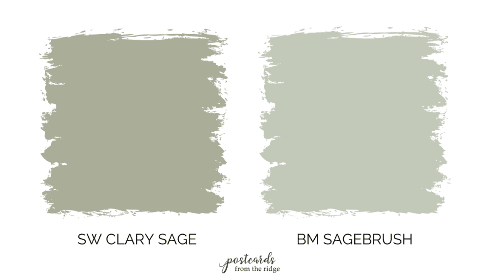 clary sage vs sagebrush