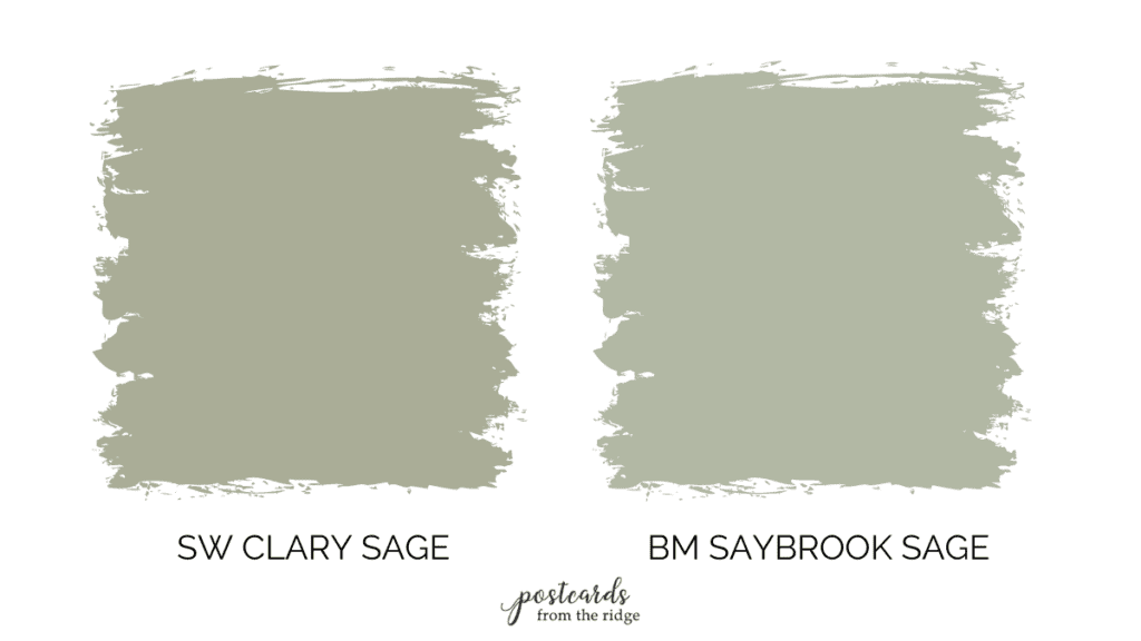 clary sage vs saybrook sage
