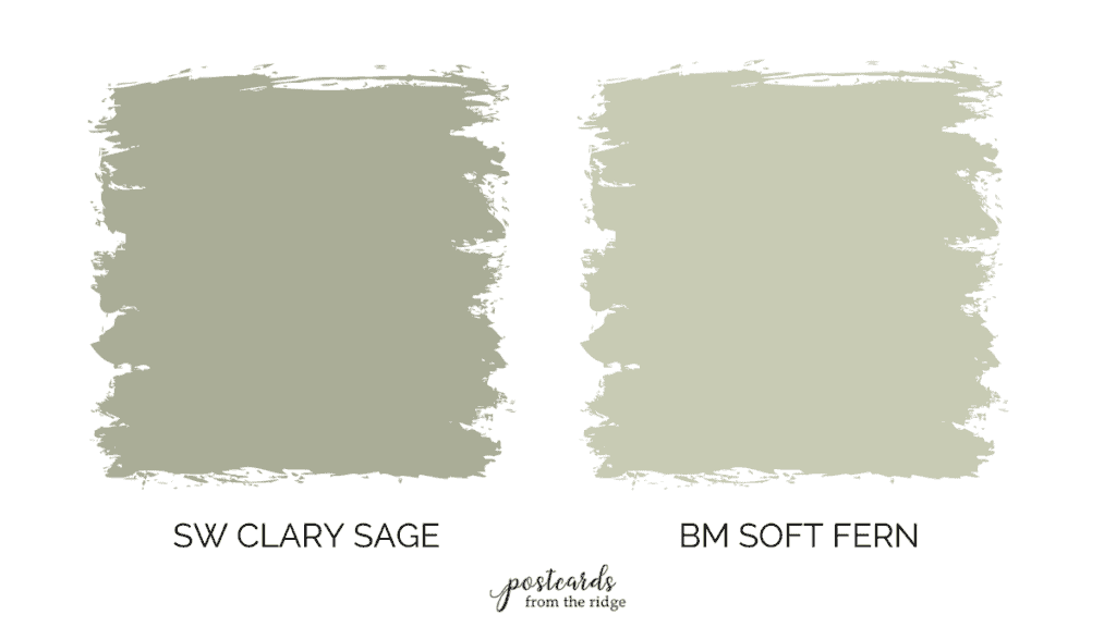 clary sage vs soft fern