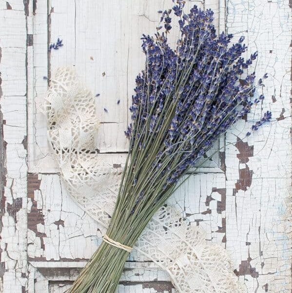 dried French lavender bouquet