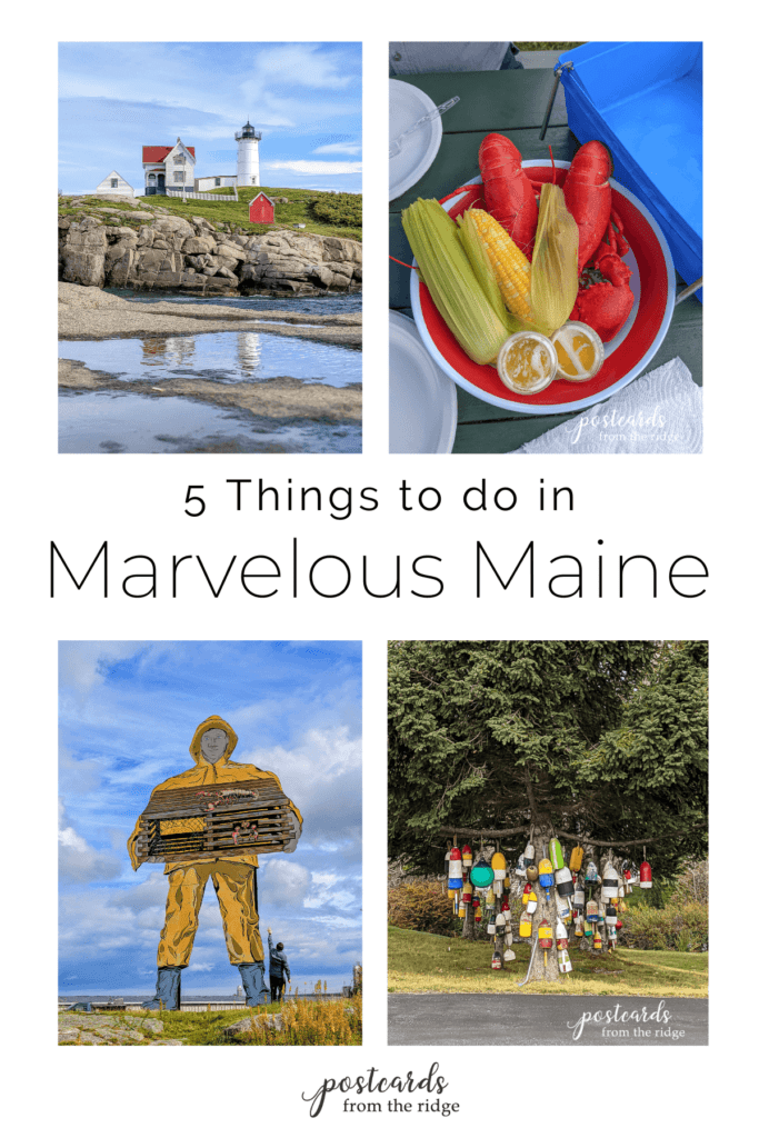 pictures of Maine including lobster, lighthouse, large fisherman sign, and tree with wooden buoys 