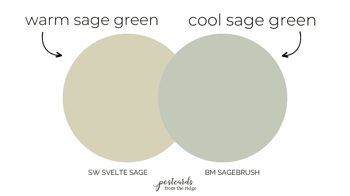 warm and cool sage green colors