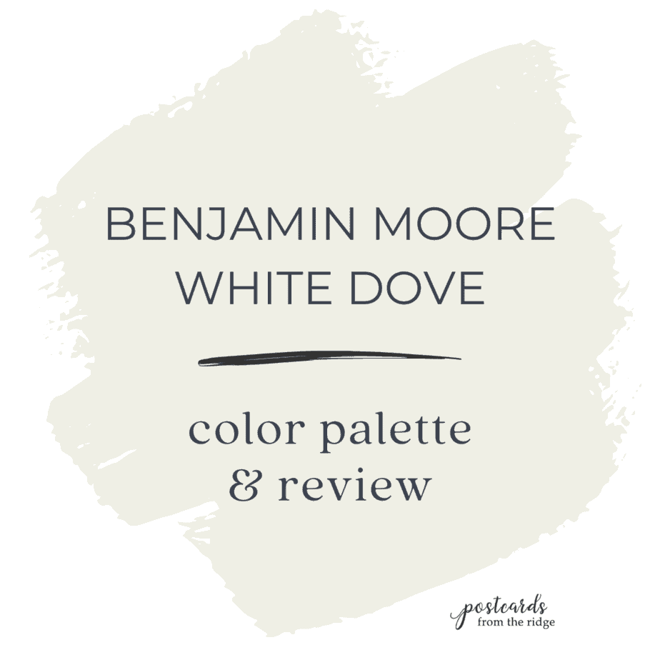 white dove color review