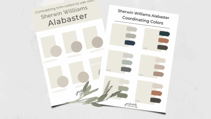 Image for Free Alabaster Color Palettes
