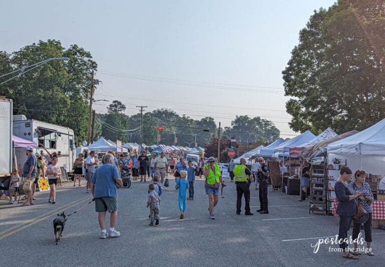 Oak Ridge Lavender Festival Postcards from the Ridge