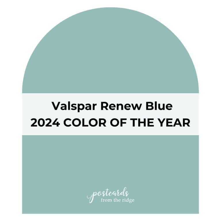 All of the 2024 Color of the Year Picks - Postcards from the Ridge