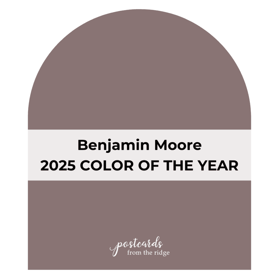 Benjamin Moore 2025 Color of the Year Cinnamon Slate