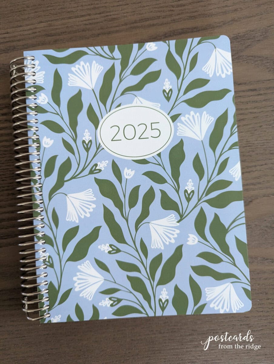 plum paper planner (2)